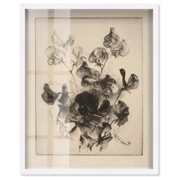Delicate Darkness Shadowbox Print Vintage Art by Art Remedy, White Frame, 24 x 30