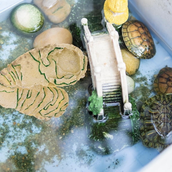 Delicate Khaki Resin Tortoise Ramp and Hiding Cave for Reptile Terrarium Decor