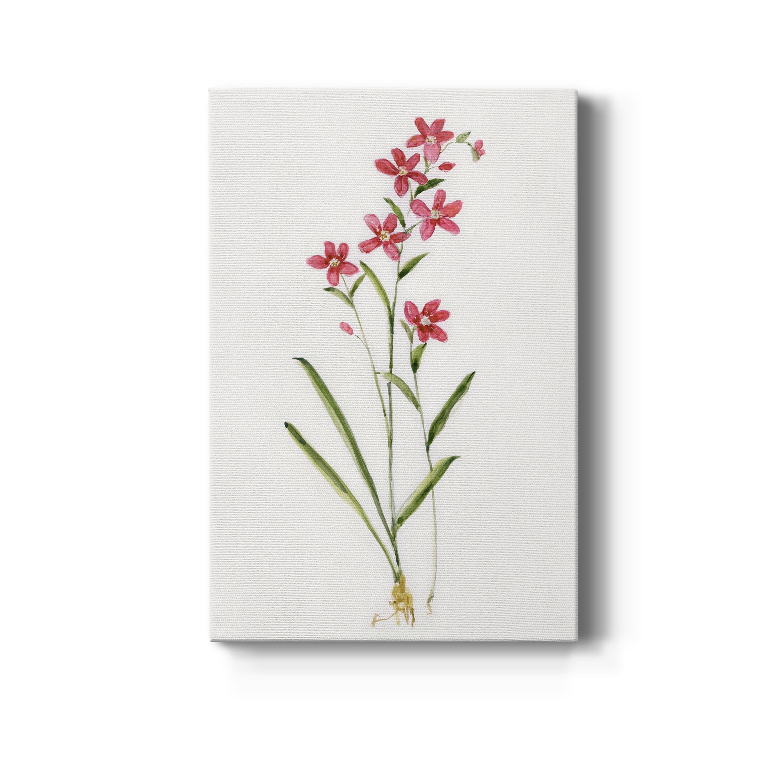 Delicate Pink I Premium Gallery Wrapped Canvas - Ready to Hang - 32 x 48