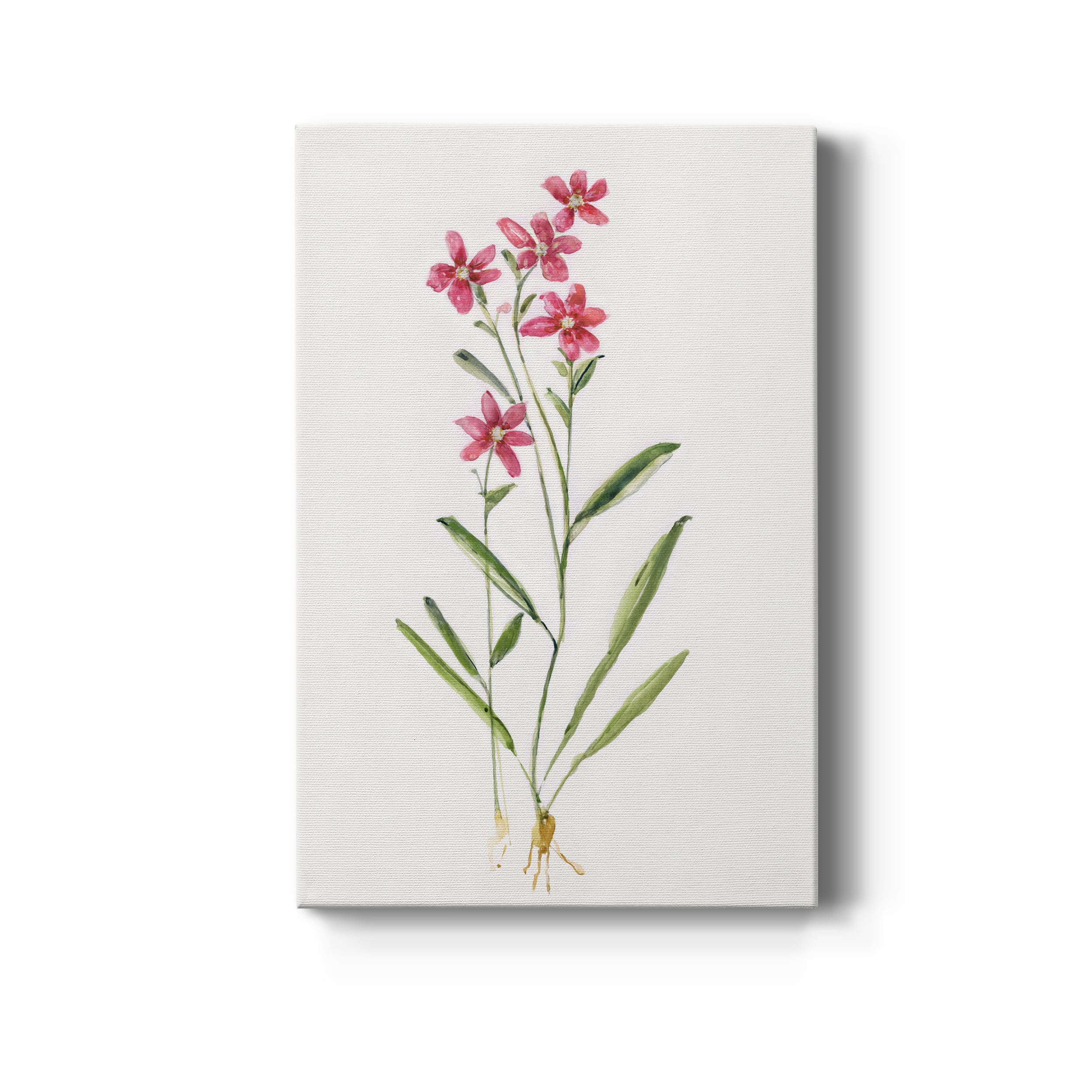 Delicate Pink II Premium Gallery Wrapped Canvas - Ready to Hang - 8 x 12