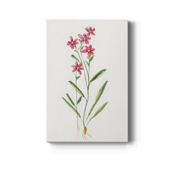 Delicate Pink II Premium Gallery Wrapped Canvas - Ready to Hang - 8 x 12