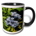 thumbnail image 1 of 3drose, Delicate Plumbago Painted in Van Goch Style, 11oz Two-tone Black Mug, 1 of 6
