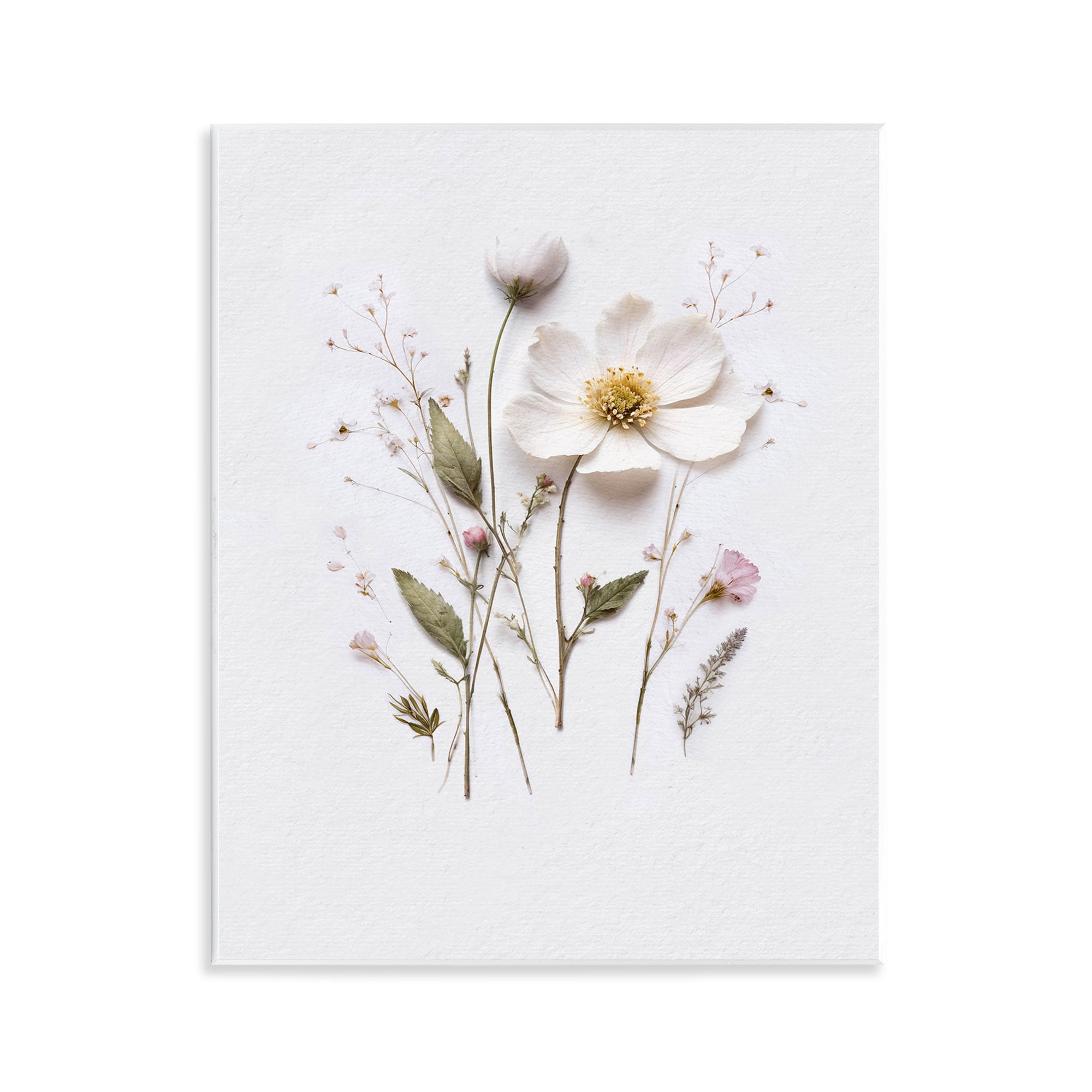 Delicate Pressed Flower Sprigs Wall Plaque Art, design by Lettered and Lined
