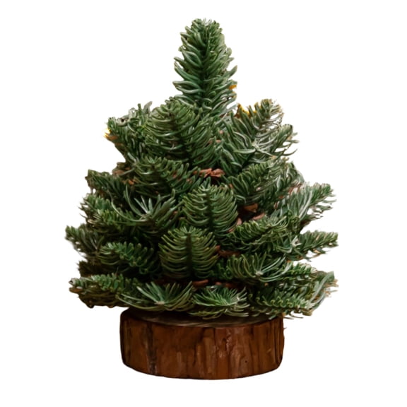 Delicate Scandinavian Styles Artificial Pine Christmas Tree Miniature Festival Home Decors Perfect For Small Space