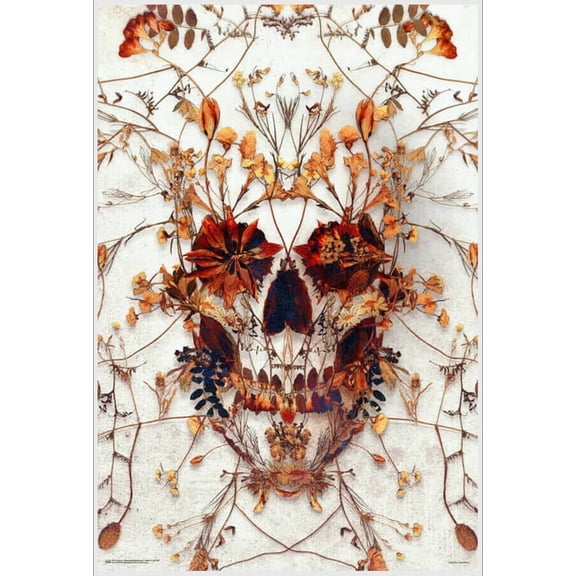 Delicate Skull by Ali Gulec Poster - 24.5" x 36.5" Laminated