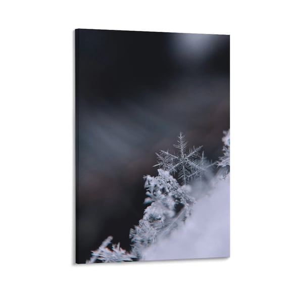 Delicate Snowflake on Dark Background, Minimalist Winter Art, Framed Canvas Print with Frame & Wall Hooks, 12x8 in