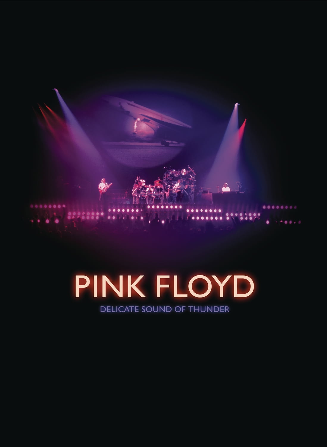 Delicate Sound of Thunder (DVD), Pink Floyd Records, Music