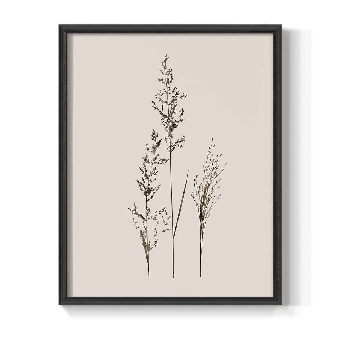 Delicate Stems I Framed Print in Black Solid Wood Framed Print No Nail Hanging