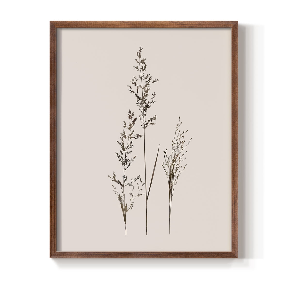 Delicate Stems I Framed Print in Brown Solid Wood Framed Print No Nail Hanging