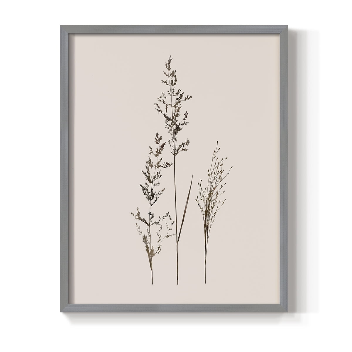 Delicate Stems I Framed Print in Gray Solid Wood Framed Print No Nail Hanging
