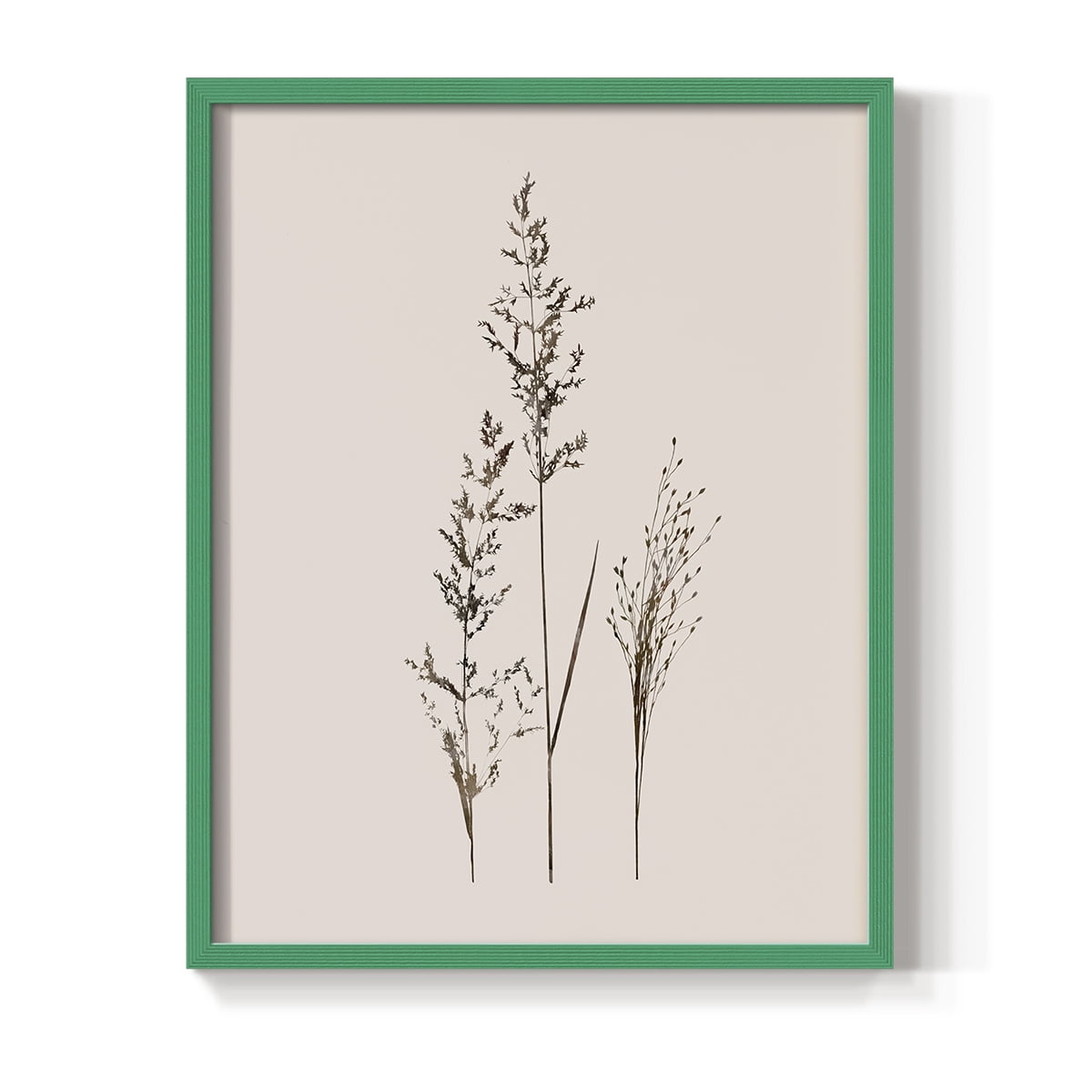Delicate Stems I Framed Print in Green Solid Wood Framed Print No Nail Hanging