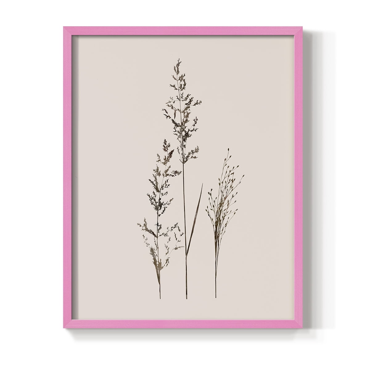 Delicate Stems I Framed Print in Pink Solid Wood Framed Print No Nail Hanging