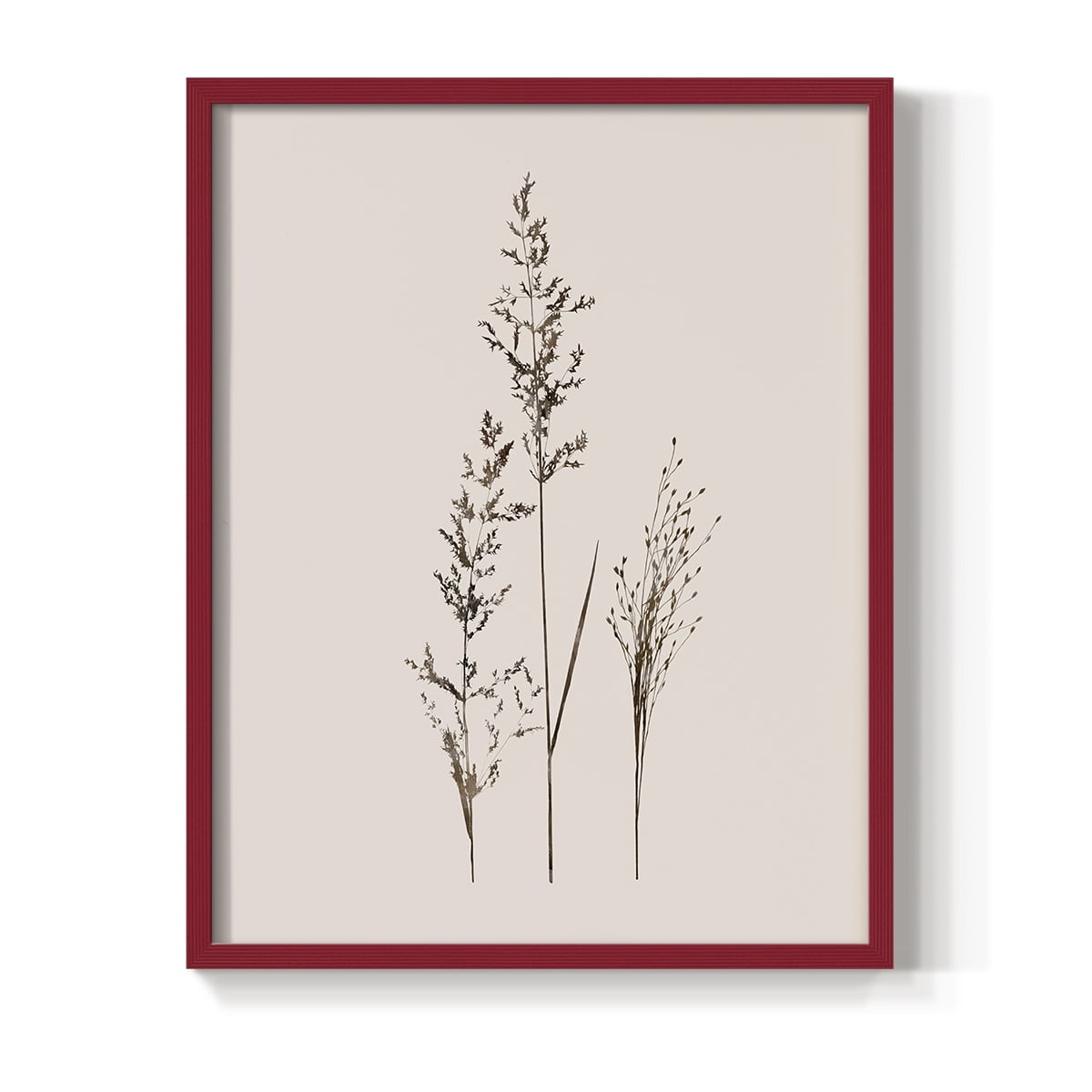 Delicate Stems I Framed Print in Red Solid Wood Framed Print No Nail Hanging