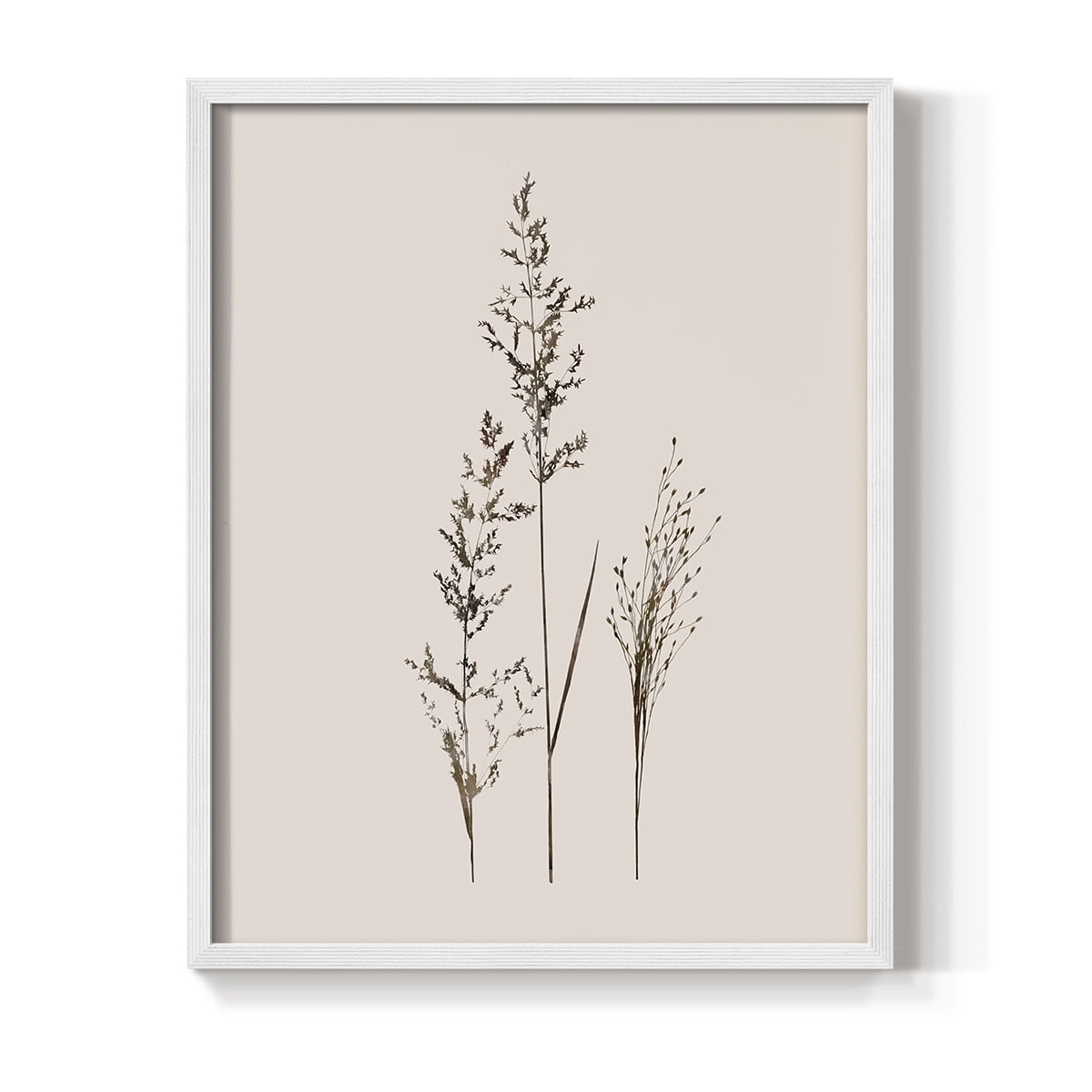 Delicate Stems I Framed Print in White Solid Wood Framed Print No Nail Hanging