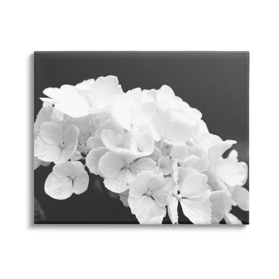 Delicate White Hydrangea Petals Botanical & Floral Photograph Gallery Wrapped Canvas Print Wall Art