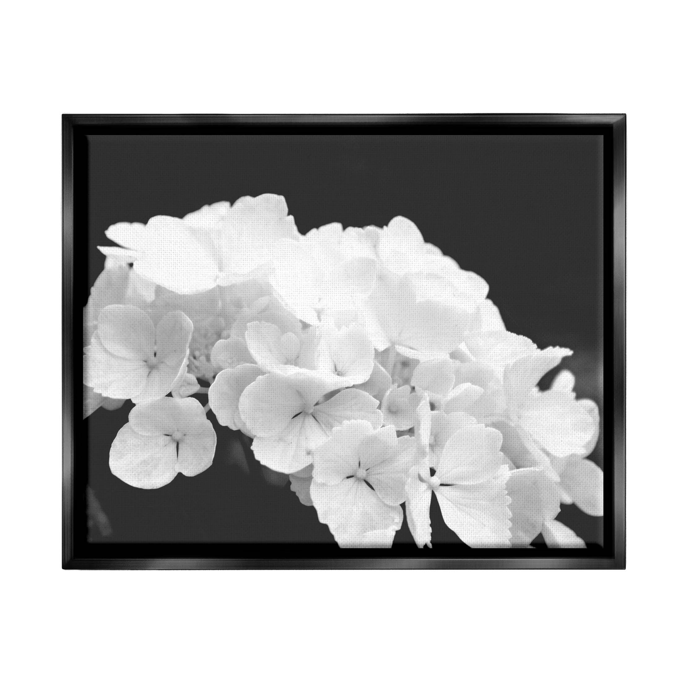 Delicate White Hydrangea Petals Botanical & Floral Photograph Jet Black Framed Art Print Wall Art