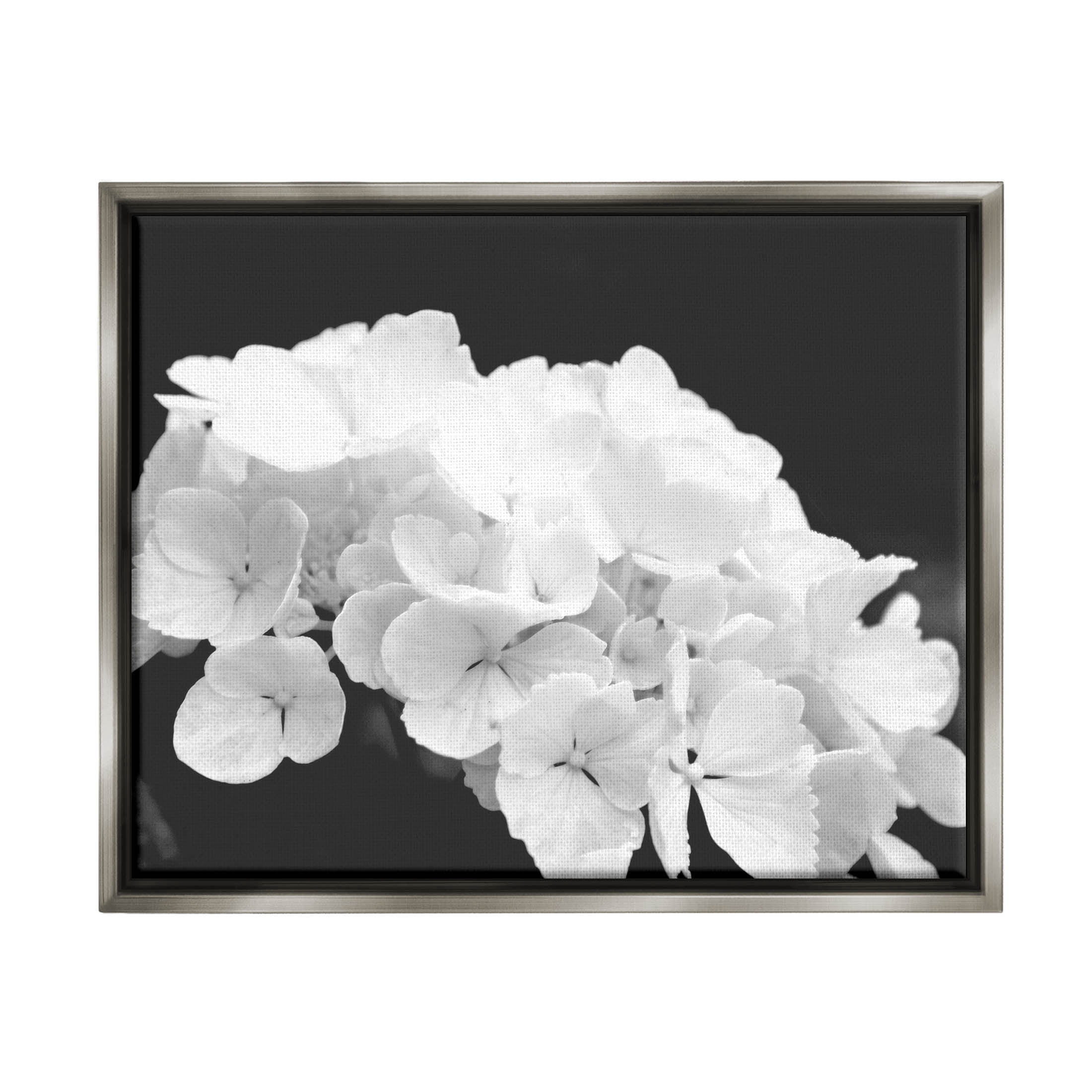 Delicate White Hydrangea Petals Botanical & Floral Photograph Luster Gray Framed Art Print Wall Art