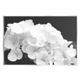 thumbnail image 1 of Delicate White Hydrangea Petals Botanical & Floral Photograph Unframed Art Print Wall Art, 1 of 6