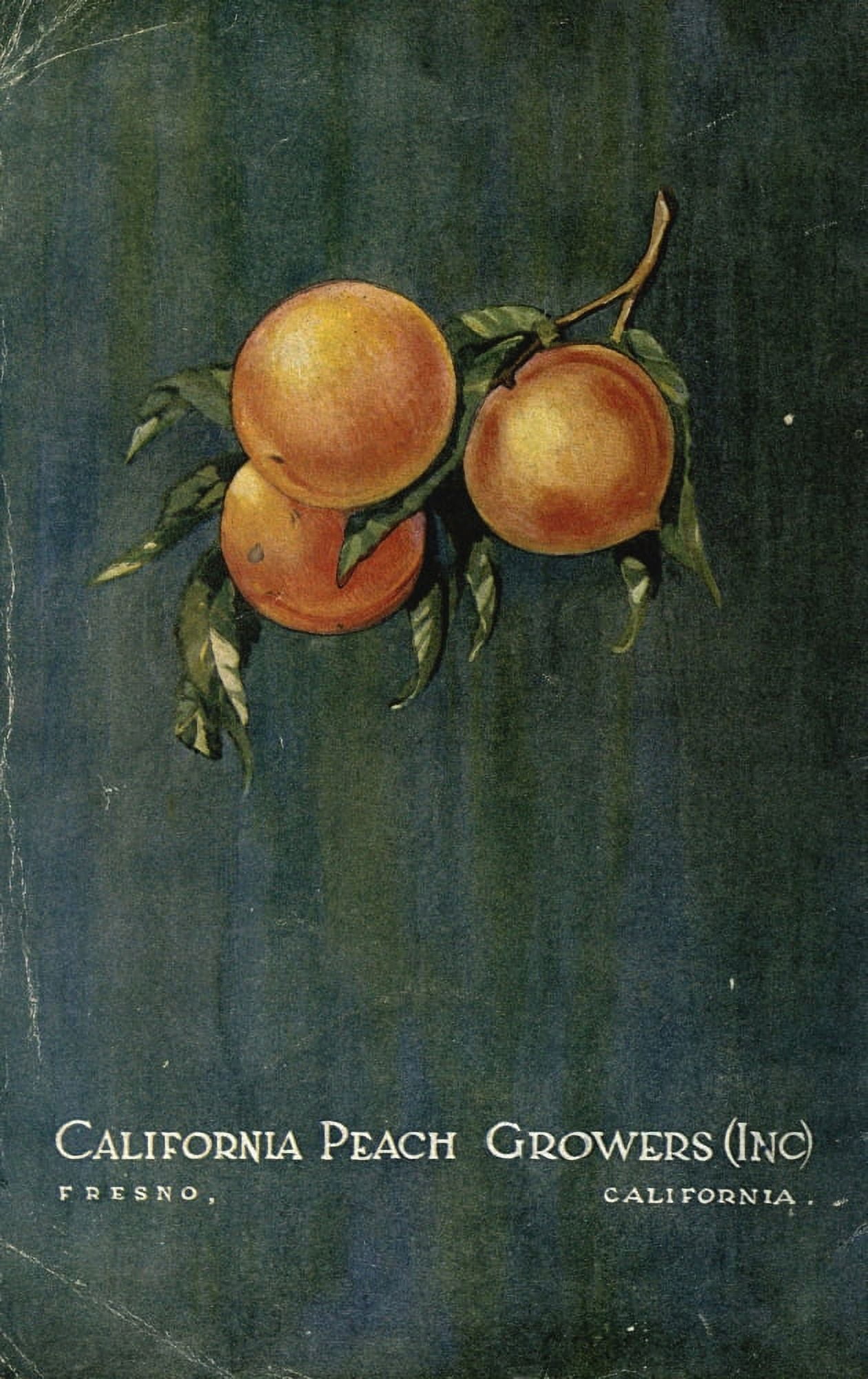 Delicious Recipes by California Peach Growers 1920 California Peach Growers Canvas Art - (18 x 24)