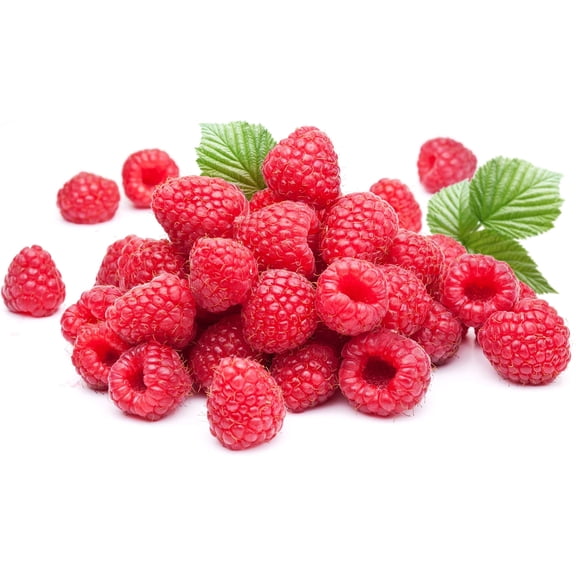 Delicious Red Raspberry Seeds - 200 Seeds - Made in USA, Ships from Iowa.