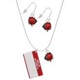 thumbnail image 1 of Delight Jewelry Acrylic Red "Hello" Name Tag Red Lucky Ladybug Necklace and Dangle Earrings Set, 1 of 6