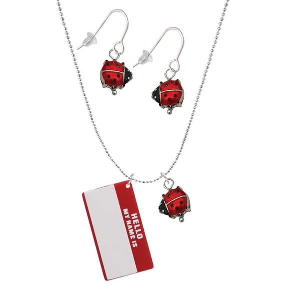 Delight Jewelry Acrylic Red "Hello" Name Tag Red Lucky Ladybug Necklace and Dangle Earrings Set