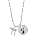 thumbnail image 1 of Delight Jewelry Crystal Chai Silvertone Script Initial Disc - T - Charm Necklace, 20"+3", 1 of 4