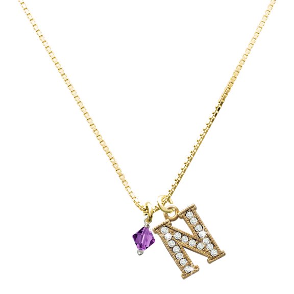 Delight Jewelry Crystal February - Purple Bicone - Large Goldtone Crystal Initial - N - Charm Necklace, 17.5"+2"