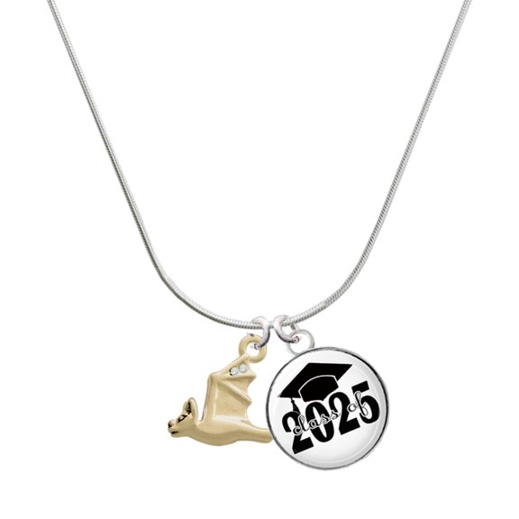 Delight Jewelry Gold-tone 3-D Flying Bat with Crystals - Script Class of 2025 Dome Charm Necklace, 18"
