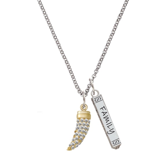 Delight Jewelry Goldtone Large Crystal Sabre Tooth Silvertone Family Bar Charm Necklace, 23"