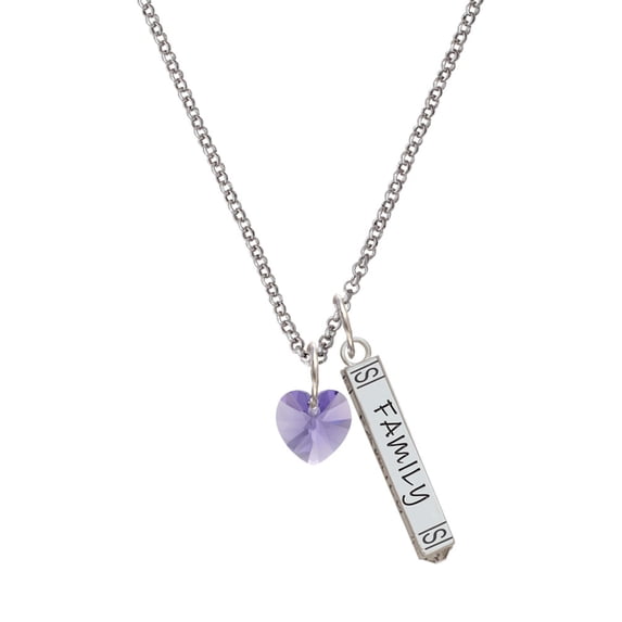 Delight Jewelry Hot Purple Crystal Heart Silvertone Family Bar Charm Necklace, 23"