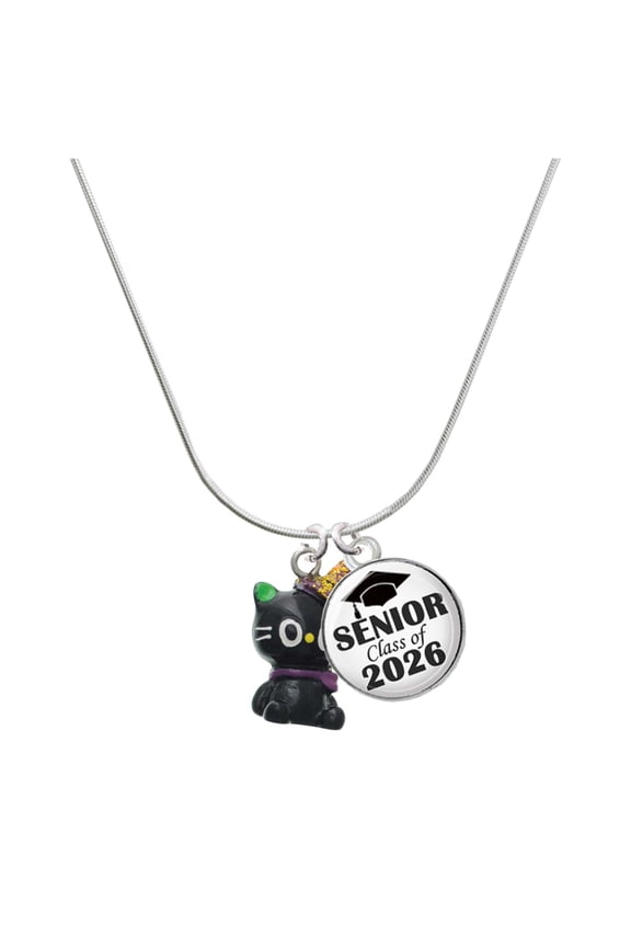 Resin Black Kitty Cat with Witch Hat - Silvertone Senior Class of 2026 Dome Necklace, 18"