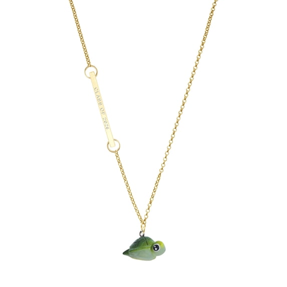 Delight Jewelry Resin Sea Turtle - Gold-tone Class of 2026 Delicate Bar Necklace, 18.75"