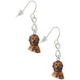 thumbnail image 1 of Delight Jewelry Resin Tan Lion Silver tone Infinity French Earrings, 1 of 4