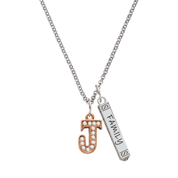 Delight Jewelry Rose Goldtone Crystal Initial - J - Silvertone Family Bar Charm Necklace, 23"