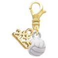thumbnail image 1 of Delight Jewelry Silver-tone 3-D White Volleyball - Gold-tone Clip on Charm with Mini Year 2025, 1 of 4