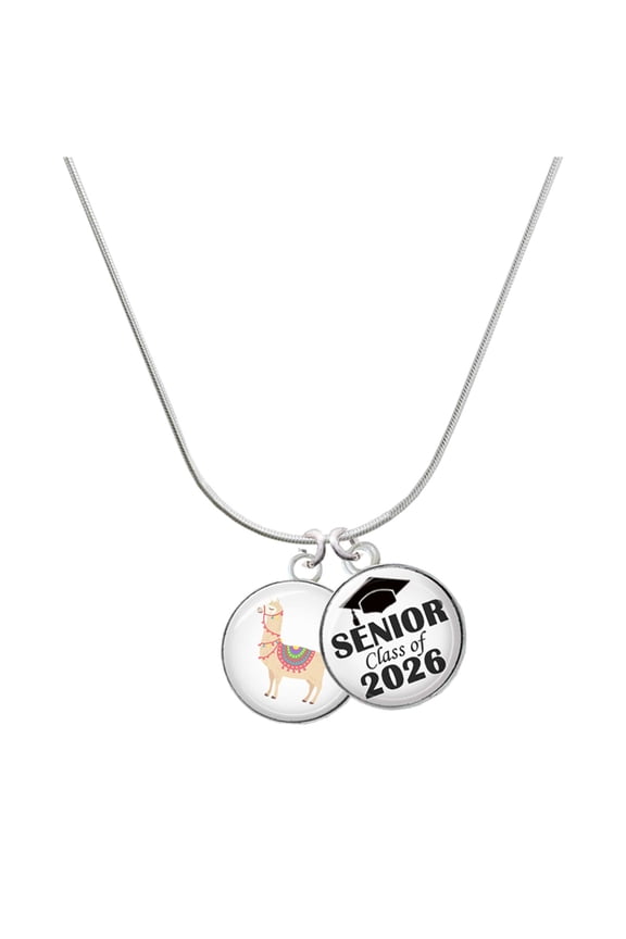 Silver-tone Domed Llama - Silvertone Senior Class of 2026 Dome Necklace, 18"