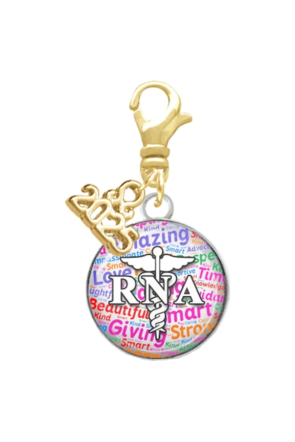 Silver-tone Domed Multi Color RNA - Gold-tone Clip on Charm with Mini Year 2025