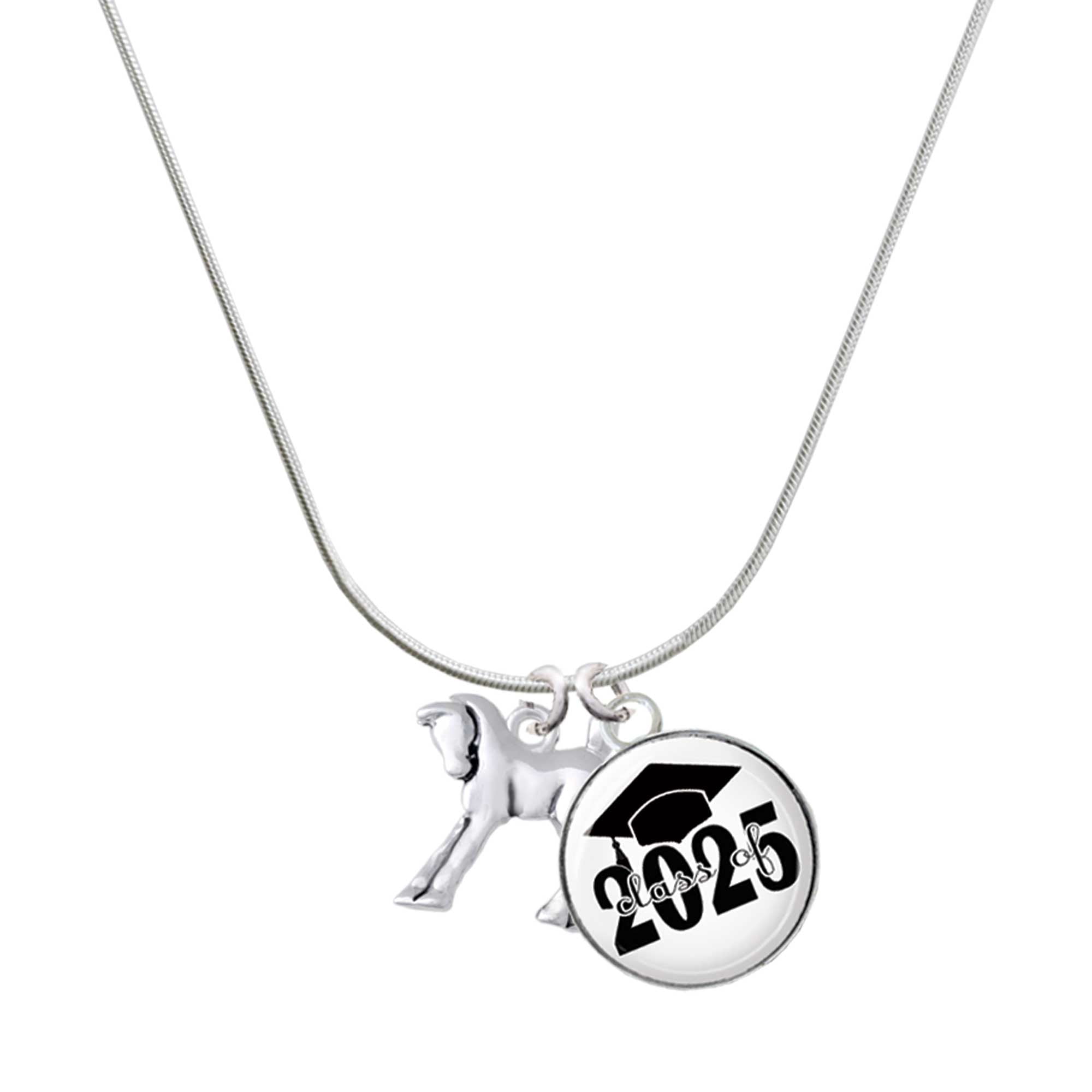 Delight Jewelry Silver-tone Equestrian Horse - Script Class of 2025 Dome Charm Necklace, 18"