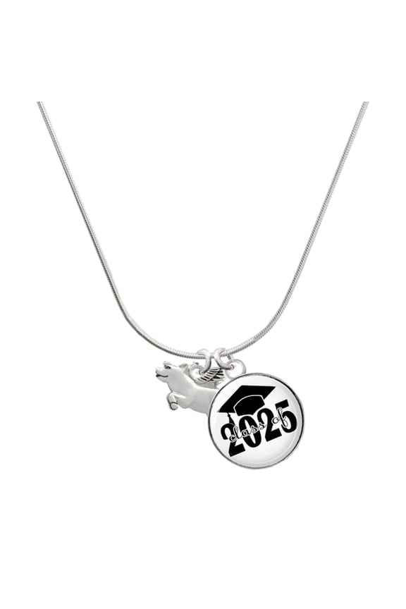 Silver-tone Flying Pig - Script Class of 2025 Dome Charm Necklace, 18"