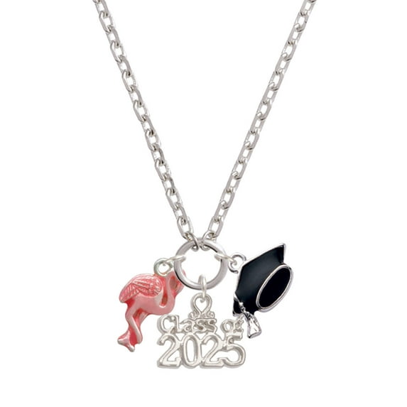 Delight Jewelry Silver-tone Hot Pink Flamingo - Silver-tone Class of 2025 Graduation Zoey Necklace, 28"