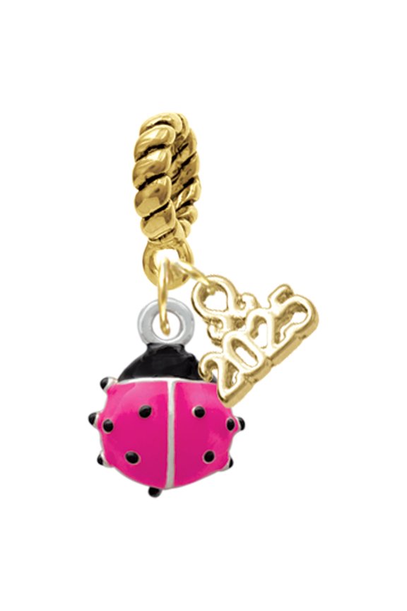 Silver-tone Mini Hot Pink Ladybug - Gold-tone Rope Charm Bead Dangle with Mini 2025