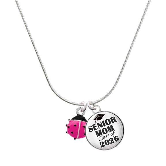 Delight Jewelry Silver-tone Mini Hot Pink Ladybug - Silvertone Senior Mom Class of 2026 Dome Necklace, 18"