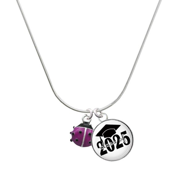 Delight Jewelry Silver-tone Mini Hot Purple Ladybug - Script Class of 2025 Dome Charm Necklace, 18"