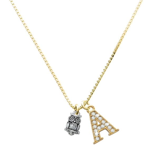 Delight Jewelry Silver-tone Mini Owl - Large Goldtone Crystal Initial - A - Charm Necklace, 17.5"+2"