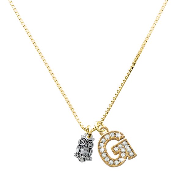Delight Jewelry Silver-tone Mini Owl and a Large Goldtone Crystal Initial G Charm Necklace, 17.5"+2"