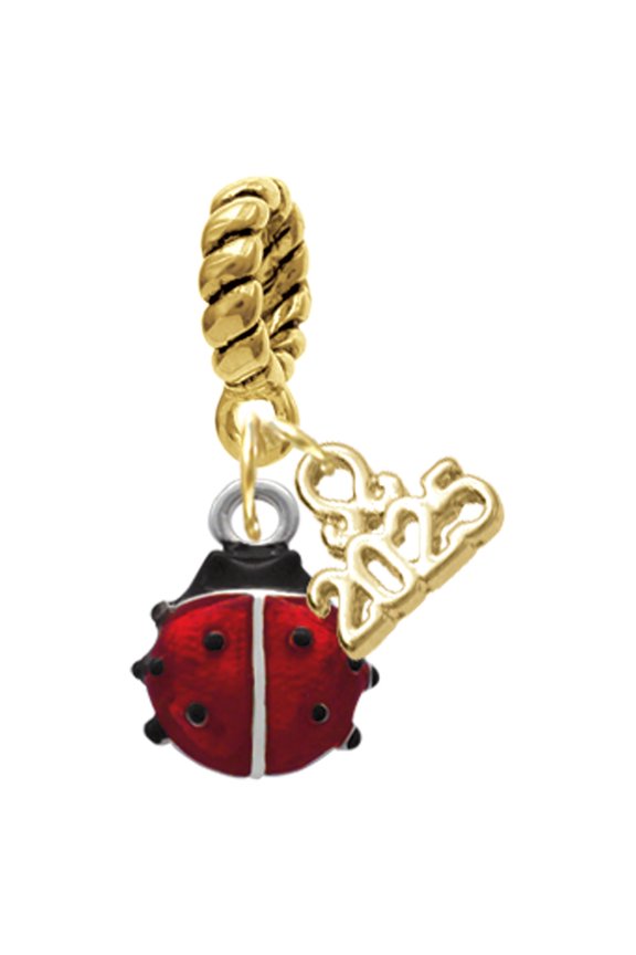 Silver-tone Mini Red Translucent Ladybug - Gold-tone Rope Charm Bead Dangle with Mini 2025