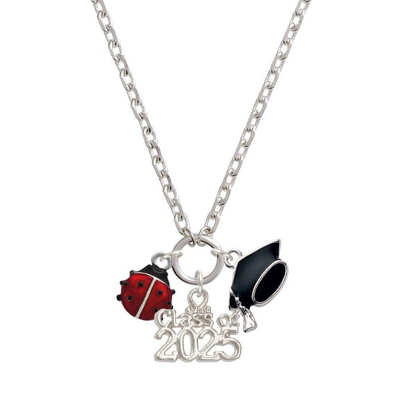 Delight Jewelry Silver-tone Mini Red Translucent Ladybug - Silver-tone Class of 2025 Graduation Zoey Necklace, 28"
