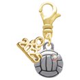 thumbnail image 1 of Delight Jewelry Silver-tone Mini Volleyball/Water polo - Gold-tone Clip on Charm with Mini Year 2025, 1 of 4