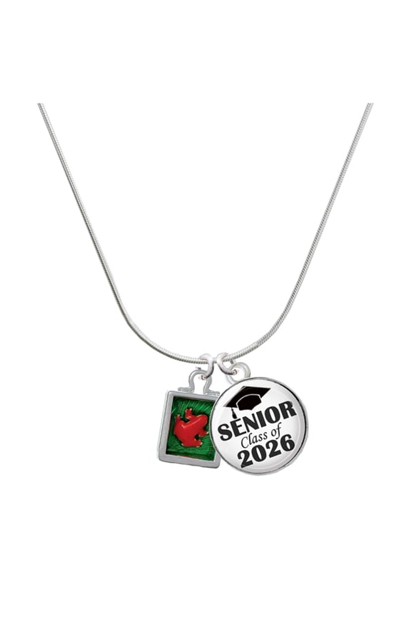 Silver-tone Red Tree Frog in Shadow Box - Silvertone Senior Class of 2026 Dome Necklace, 18"